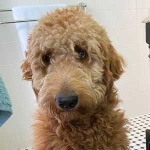 Meet your Posher, Jack